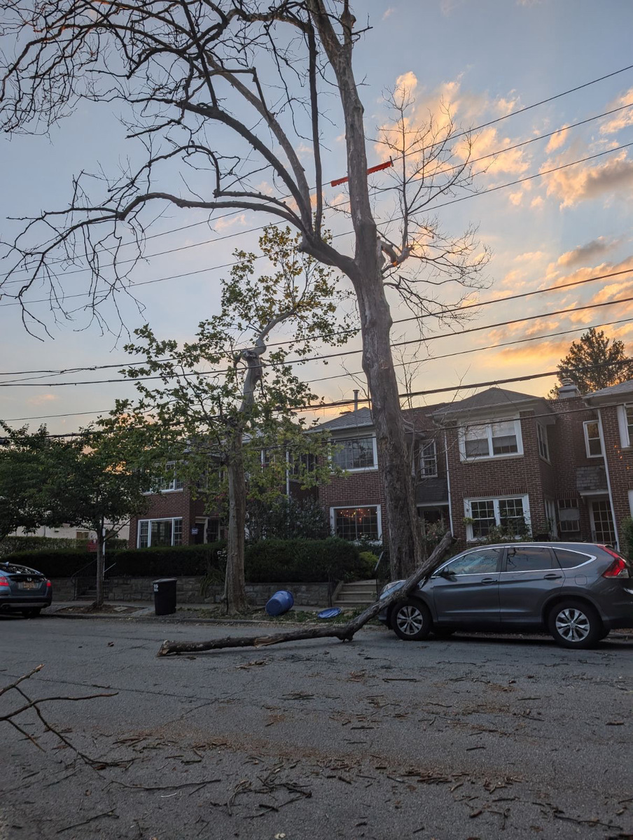 Photographic documentation of the work as submitted to the city's 311 record.