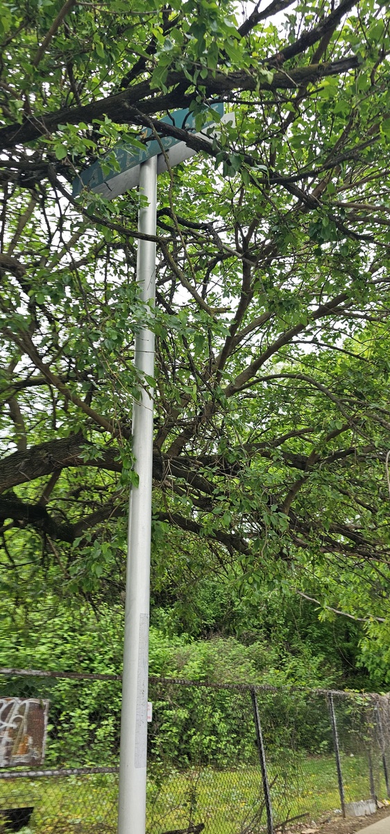 Photographic documentation of the work as submitted to the city's 311 record.