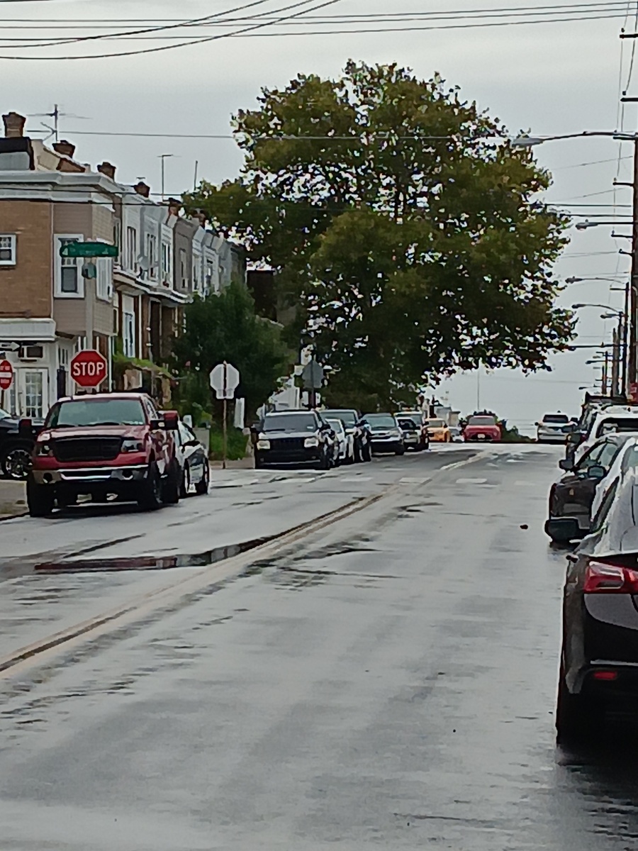 Photographic documentation of the work as submitted to the city's 311 record.