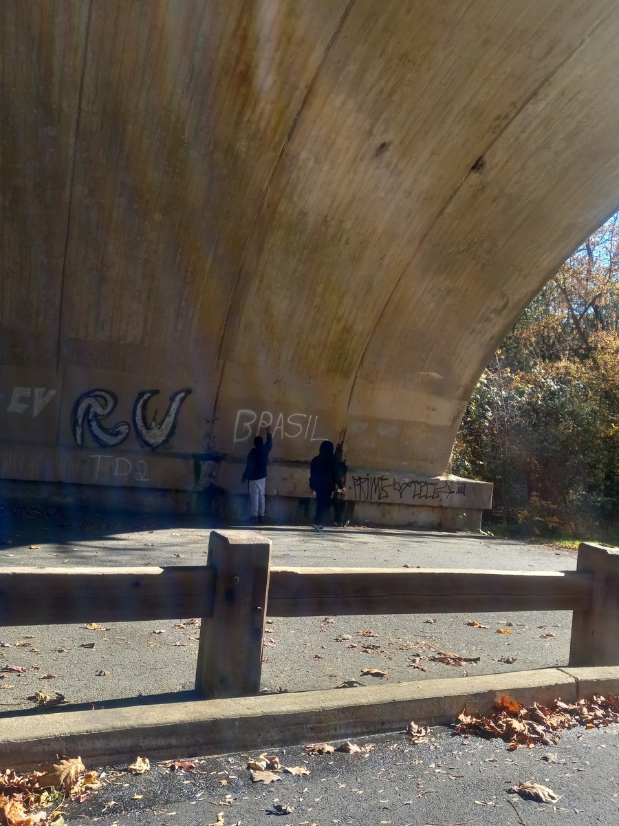 Photographic documentation of the work as submitted to the city's 311 record.