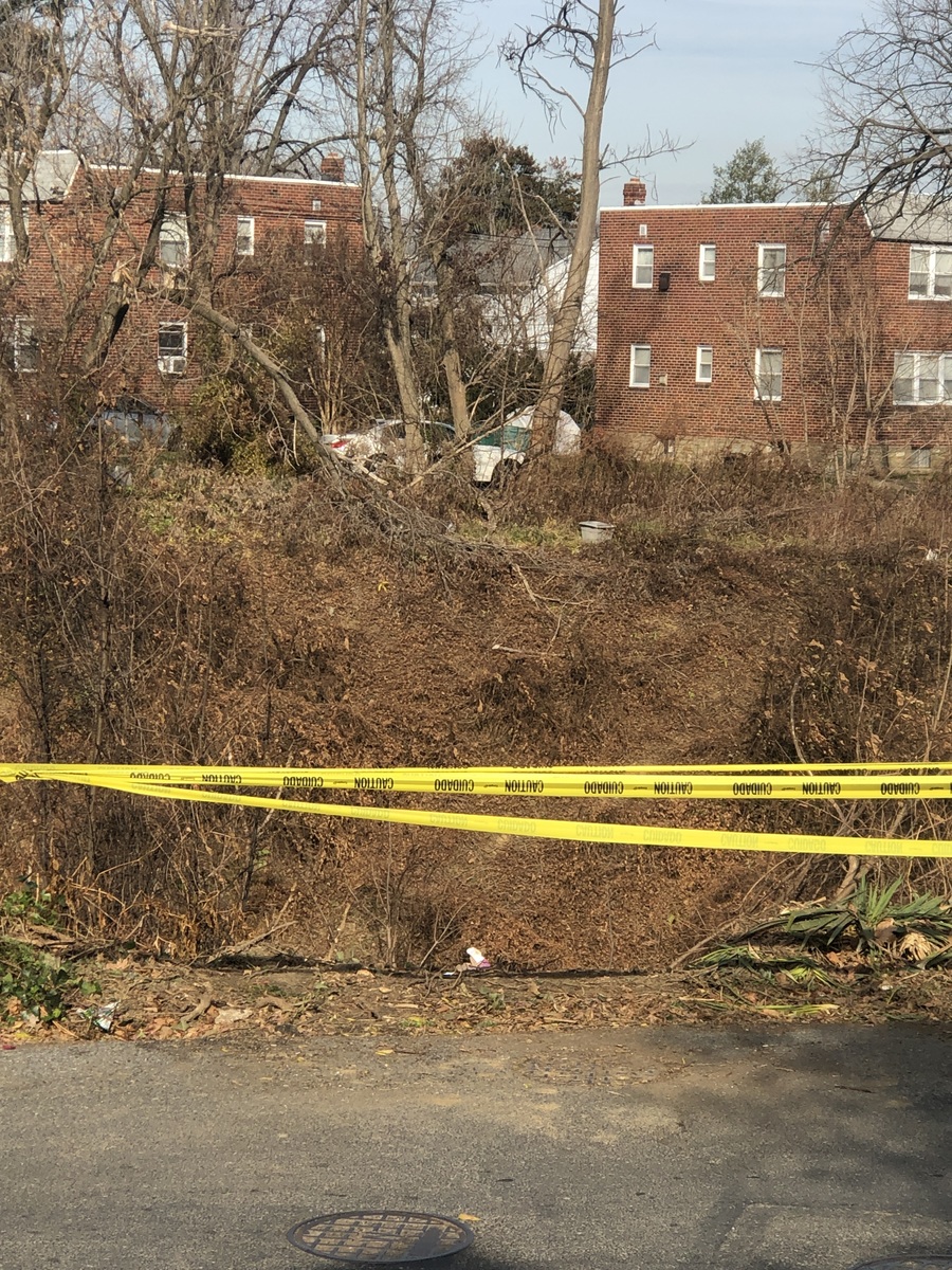 Photographic documentation of the work as submitted to the city's 311 record.