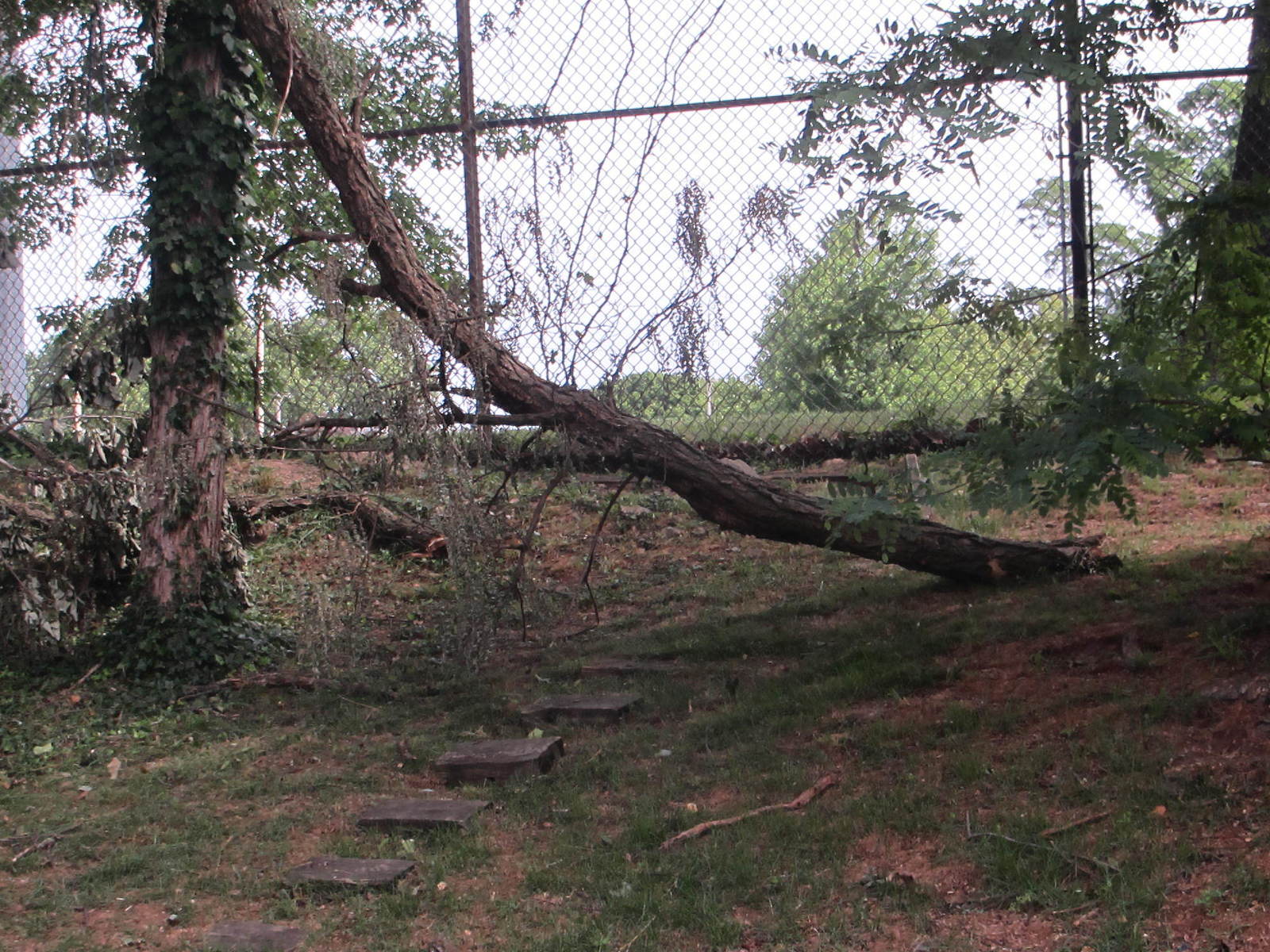 Photographic documentation of the work as submitted to the city's 311 record.