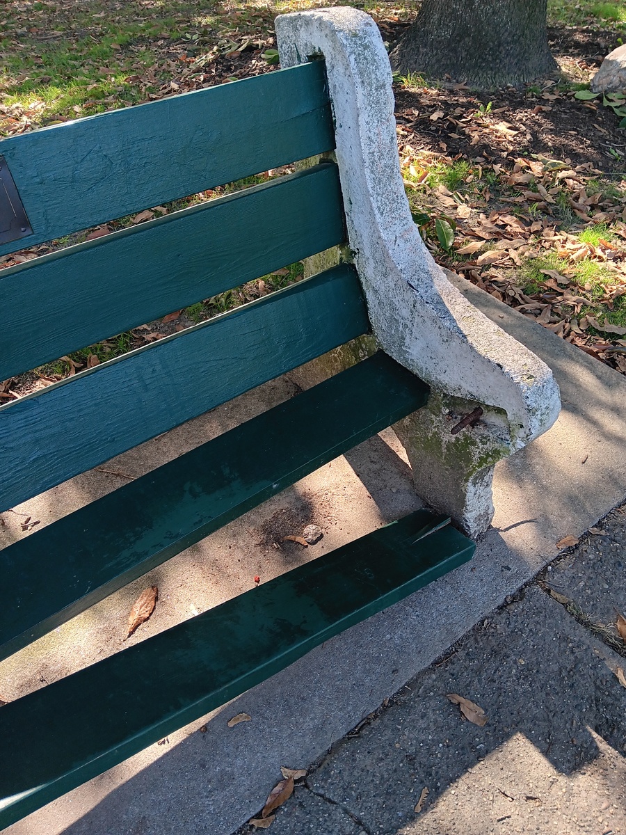 Photographic documentation of the work as submitted to the city's 311 record.