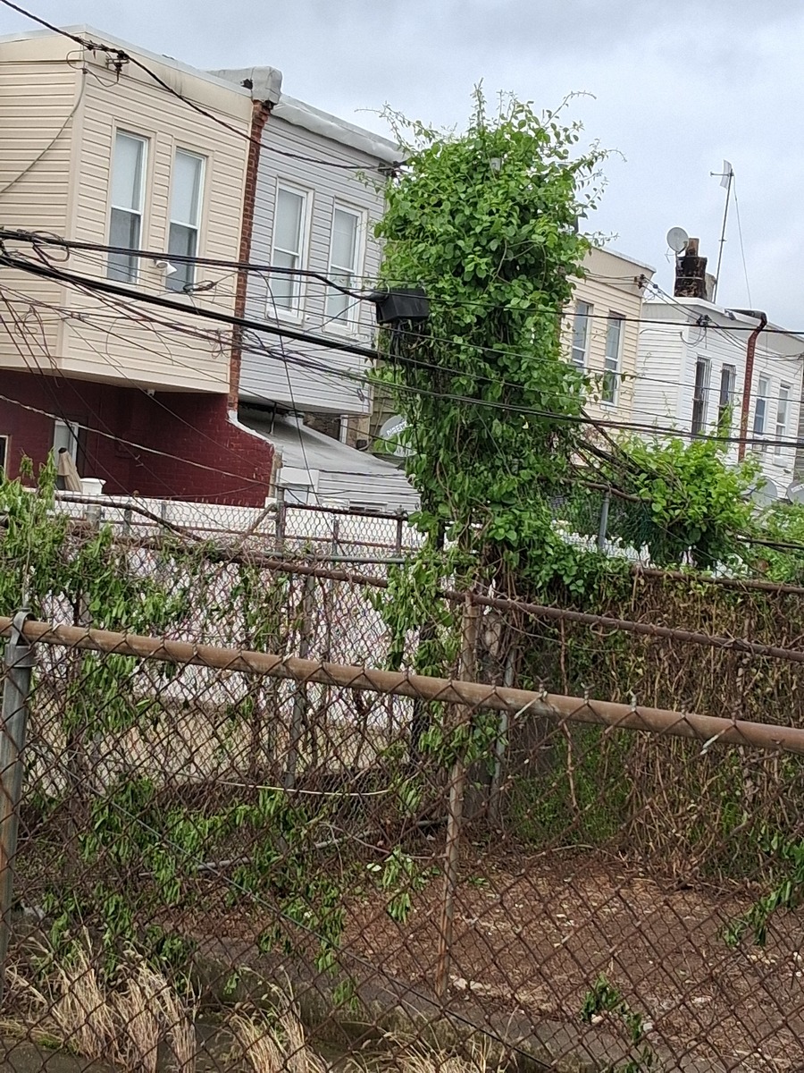 Photographic documentation of the work as submitted to the city's 311 record.