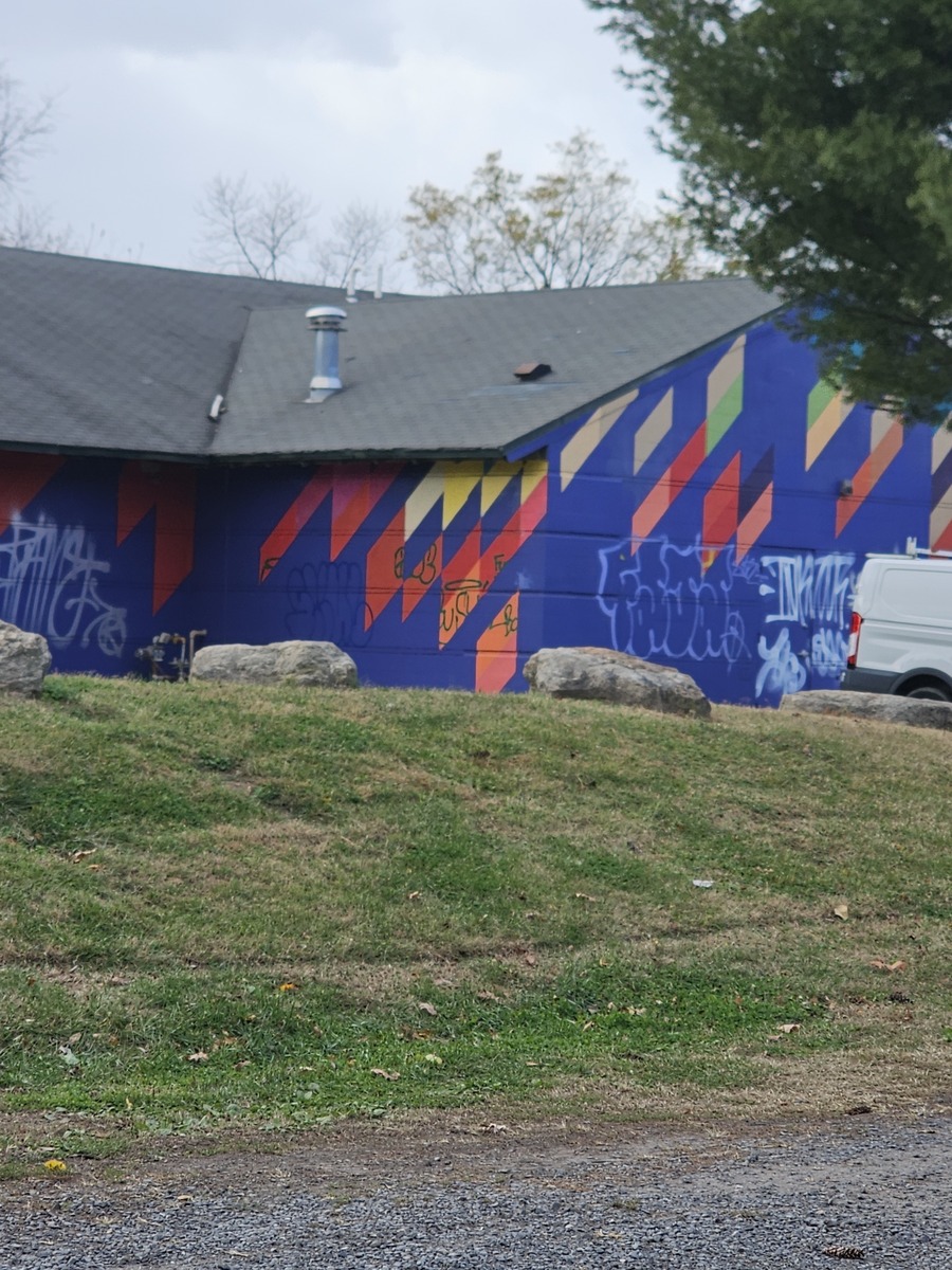 Photographic documentation of the work as submitted to the city's 311 record.