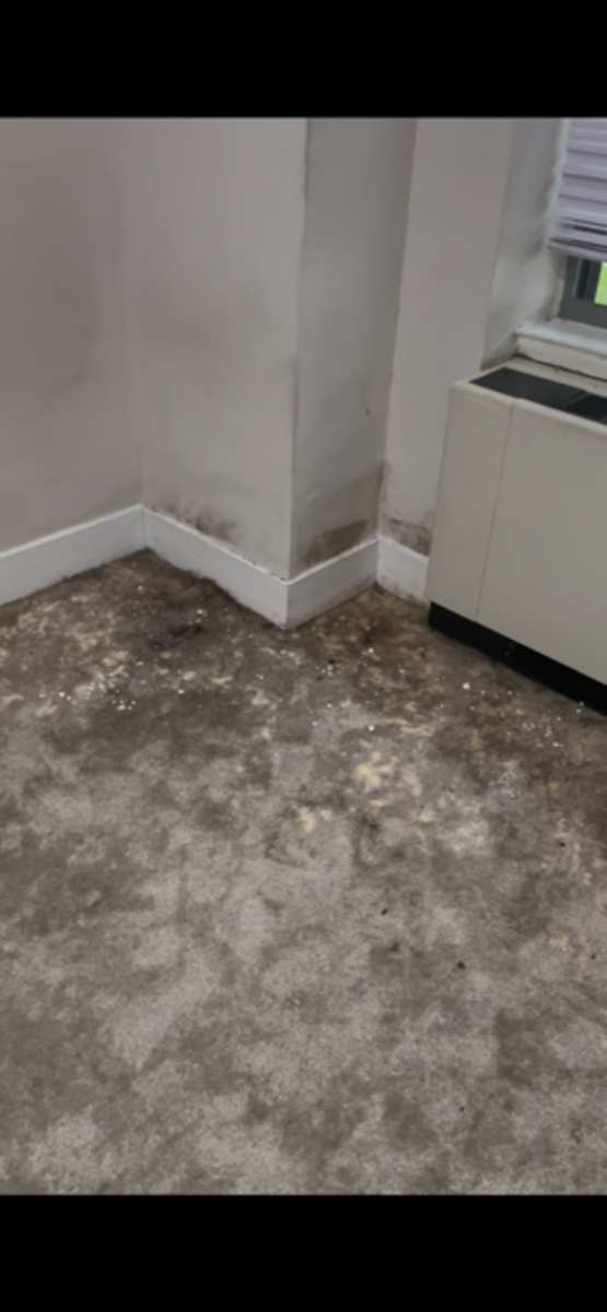 Photographic documentation of the work as submitted to the city's 311 record.