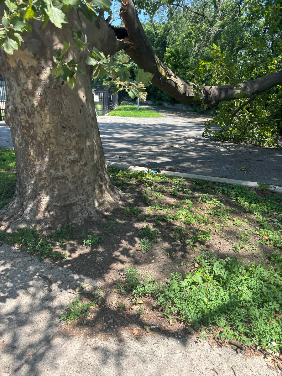 Photographic documentation of the work as submitted to the city's 311 record.
