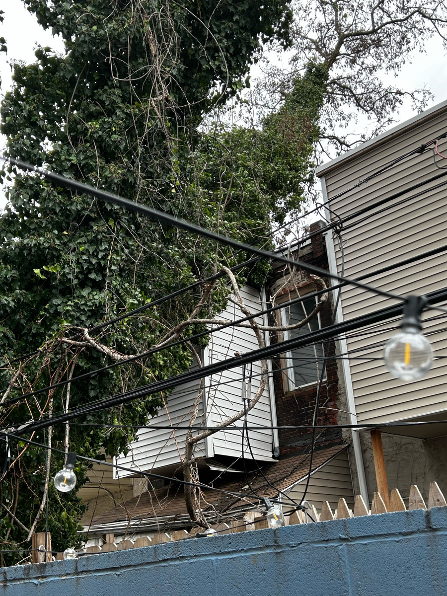 Photographic documentation of the work as submitted to the city's 311 record.