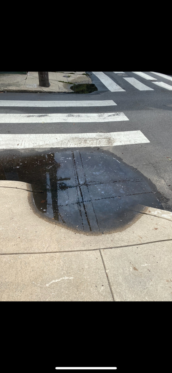 Photographic documentation of the work as submitted to the city's 311 record.
