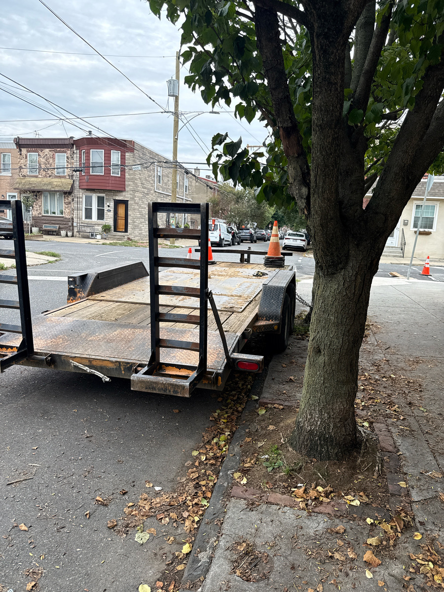 Photographic documentation of the work as submitted to the city's 311 record.