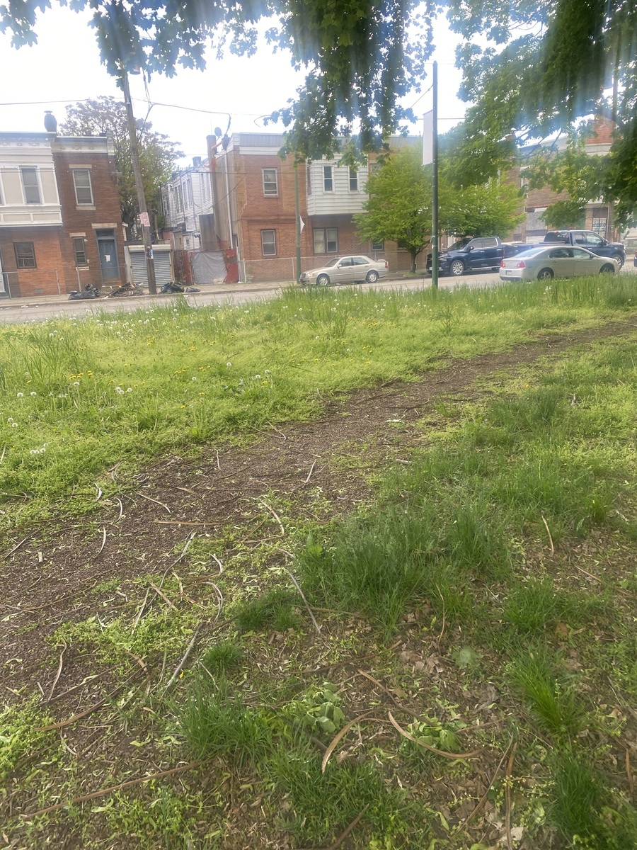 Photographic documentation of the work as submitted to the city's 311 record.