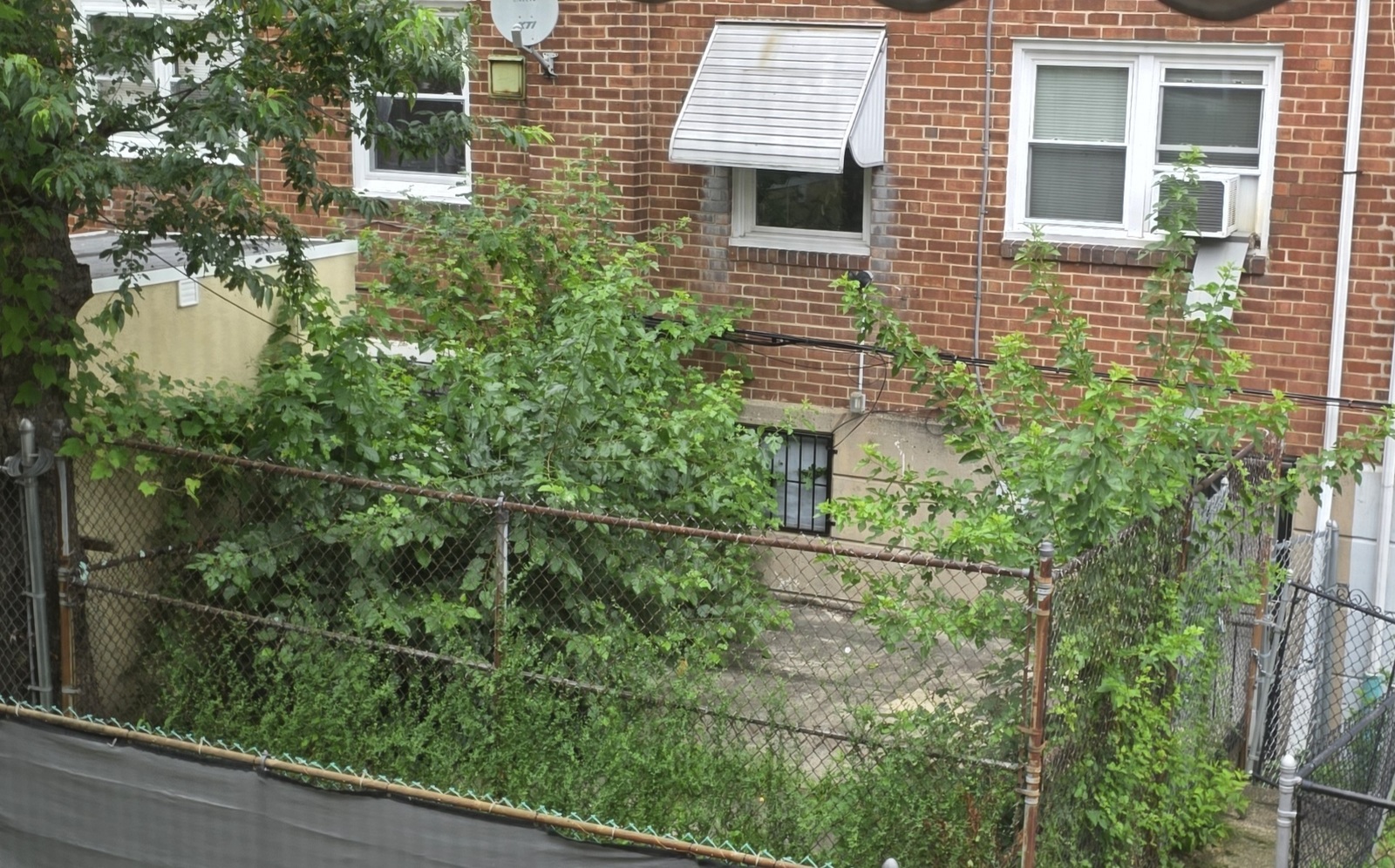 Photographic documentation of the work as submitted to the city's 311 record.