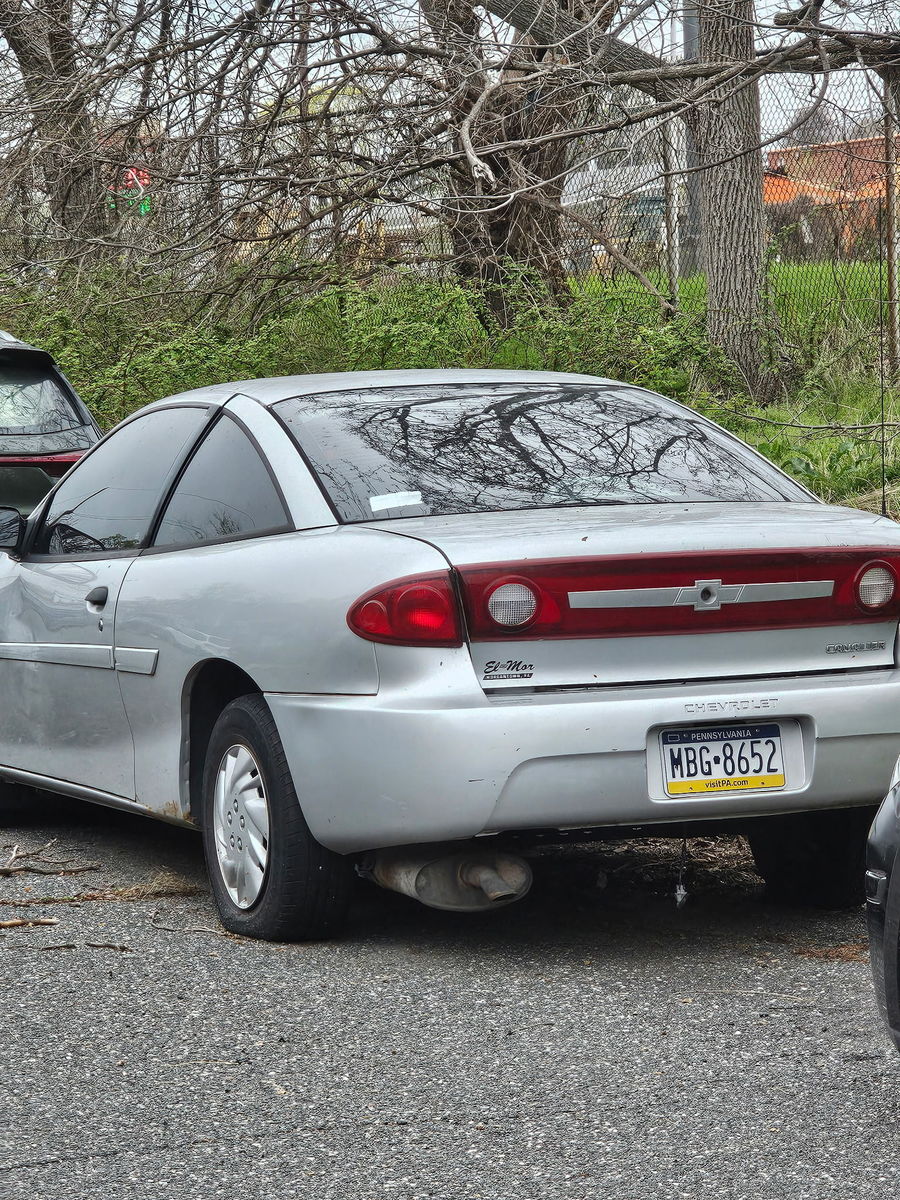 Photographic documentation of the work as submitted to the city's 311 record.