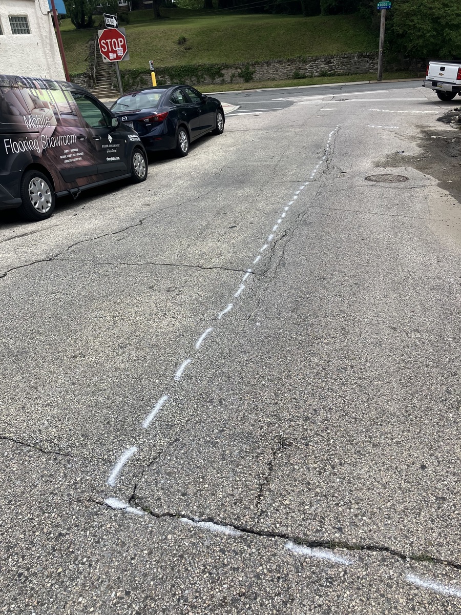Photographic documentation of the work as submitted to the city's 311 record.