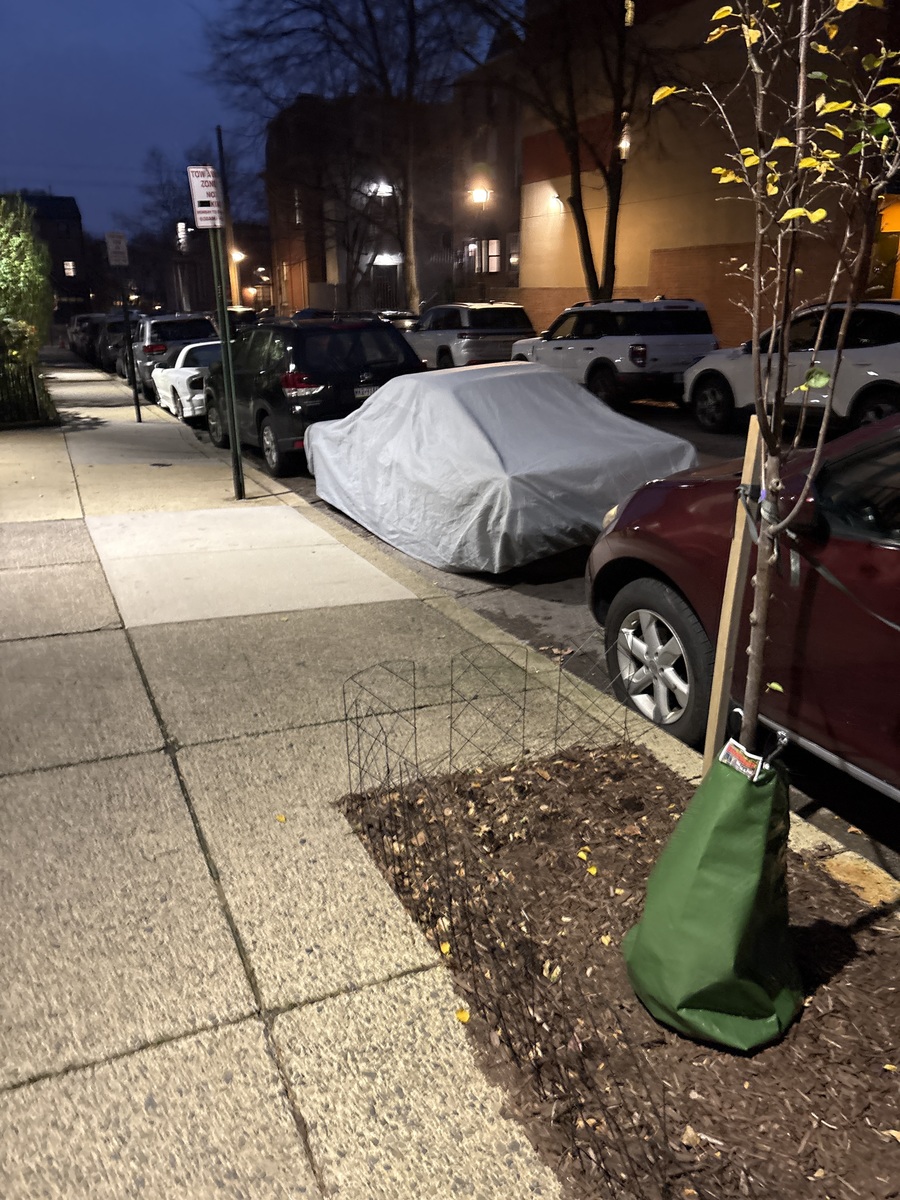 Photographic documentation of the work as submitted to the city's 311 record.