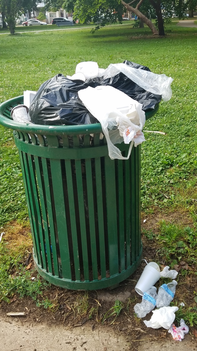 Photographic documentation of the work as submitted to the city's 311 record.