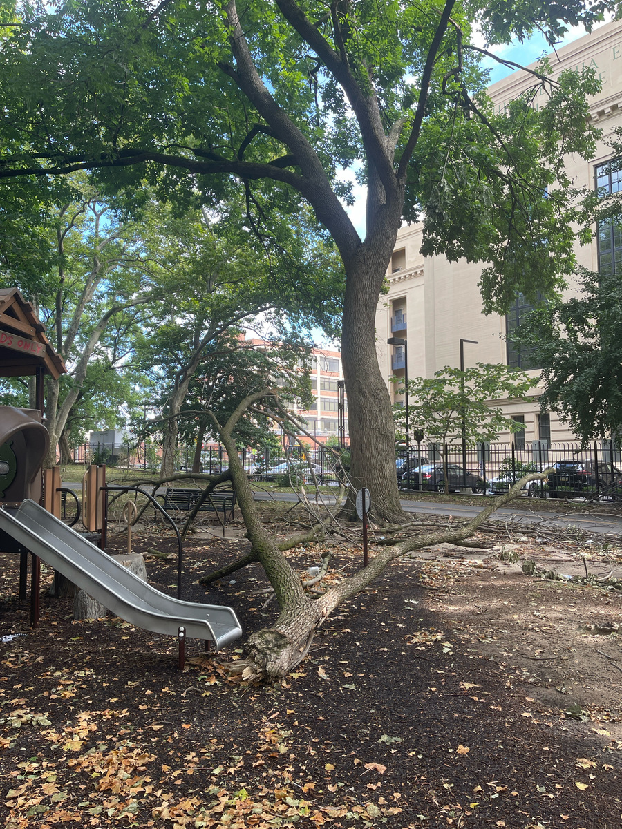 Photographic documentation of the work as submitted to the city's 311 record.