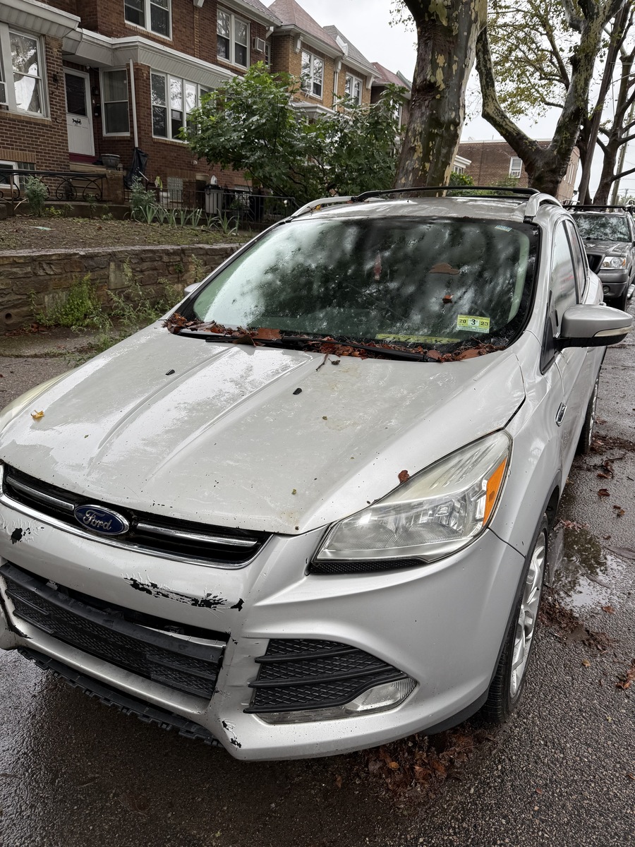 Photographic documentation of the work as submitted to the city's 311 record.