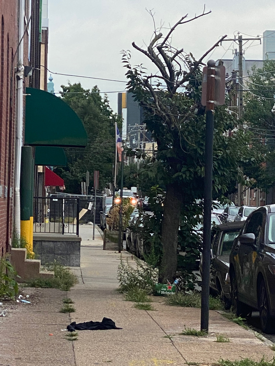 Photographic documentation of the work as submitted to the city's 311 record.