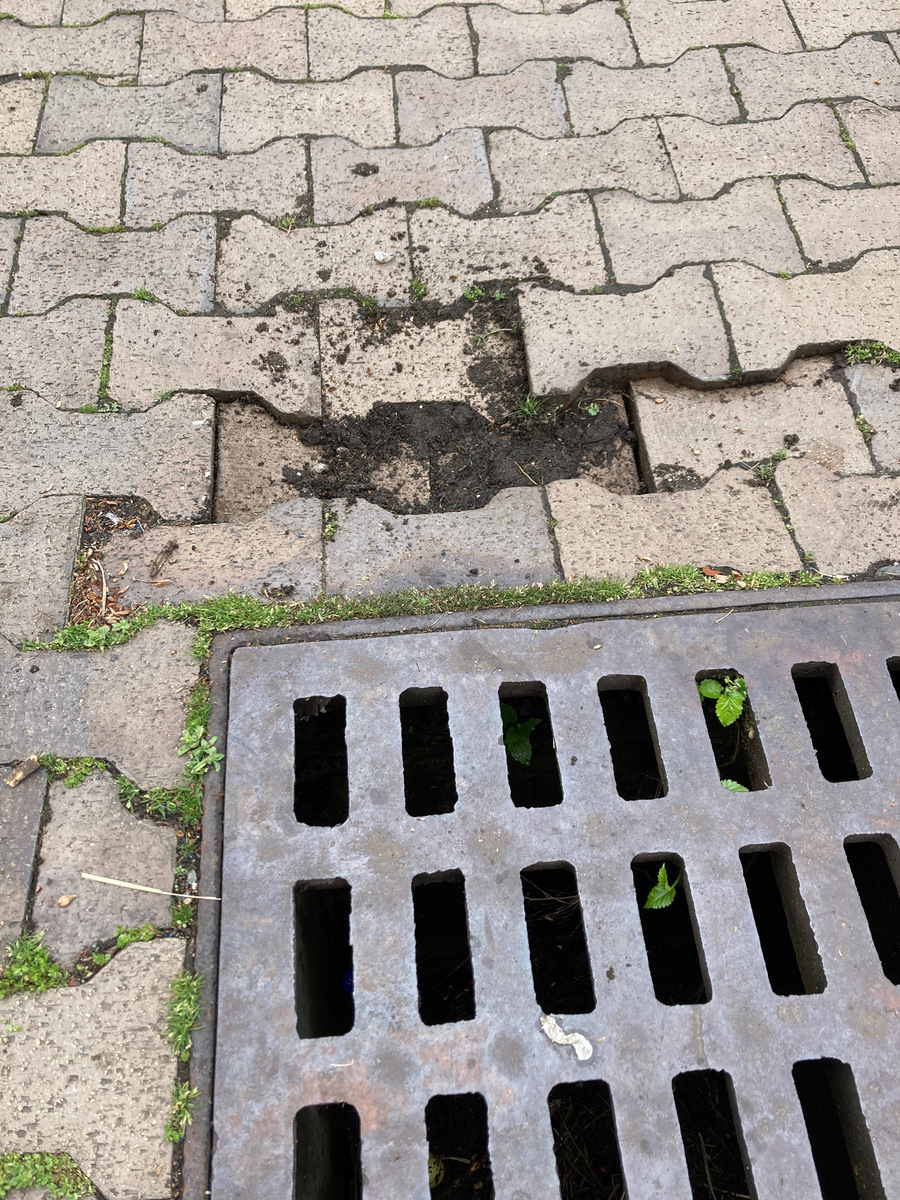 Photographic documentation of the work as submitted to the city's 311 record.