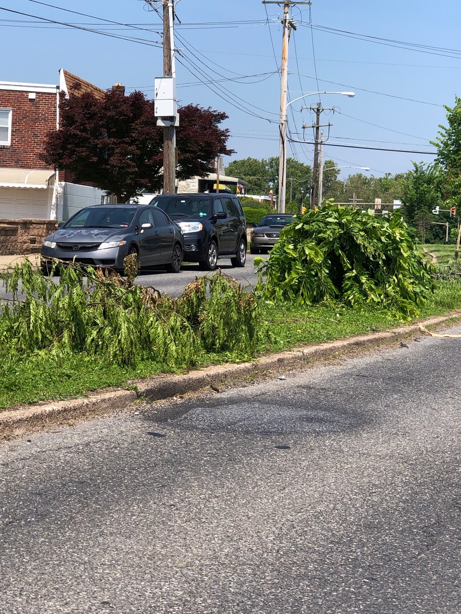 Photographic documentation of the work as submitted to the city's 311 record.
