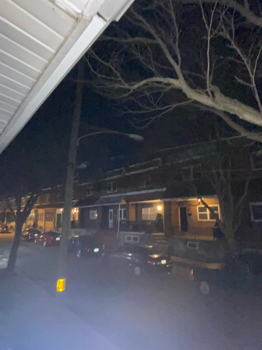 Photographic documentation of the work as submitted to the city's 311 record.