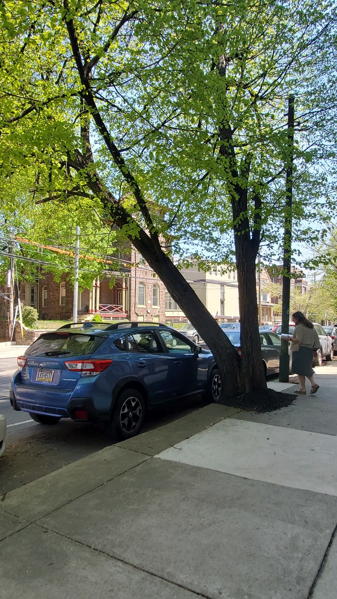 Photographic documentation of the work as submitted to the city's 311 record.