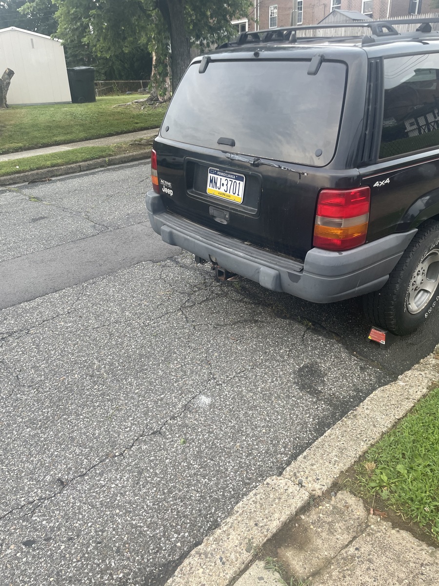 Photographic documentation of the work as submitted to the city's 311 record.