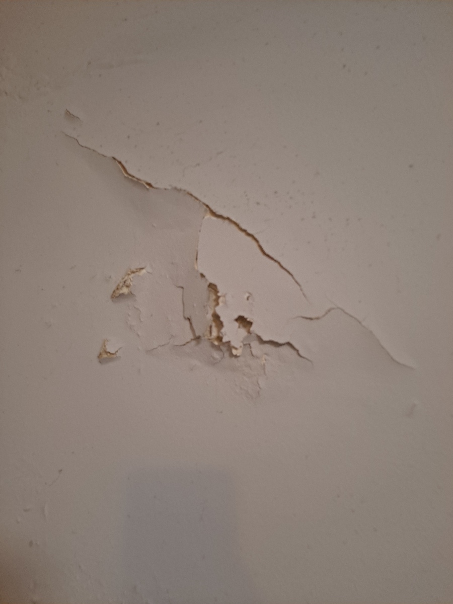 Photographic documentation of the work as submitted to the city's 311 record.