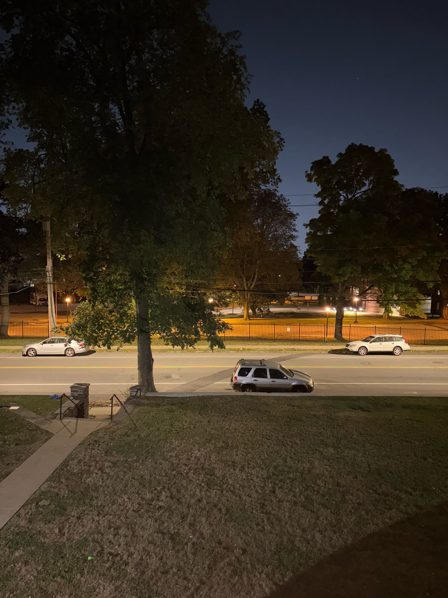 Photographic documentation of the work as submitted to the city's 311 record.