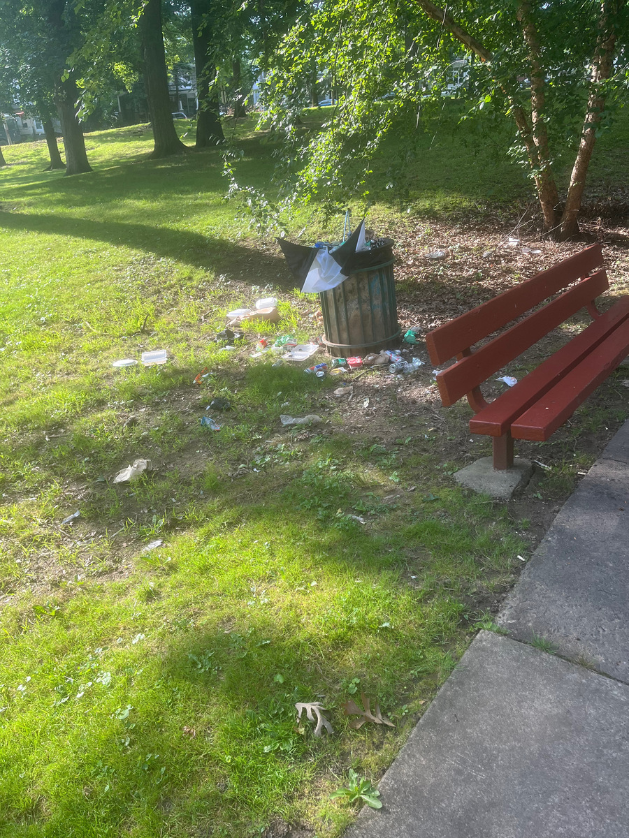 Photographic documentation of the work as submitted to the city's 311 record.