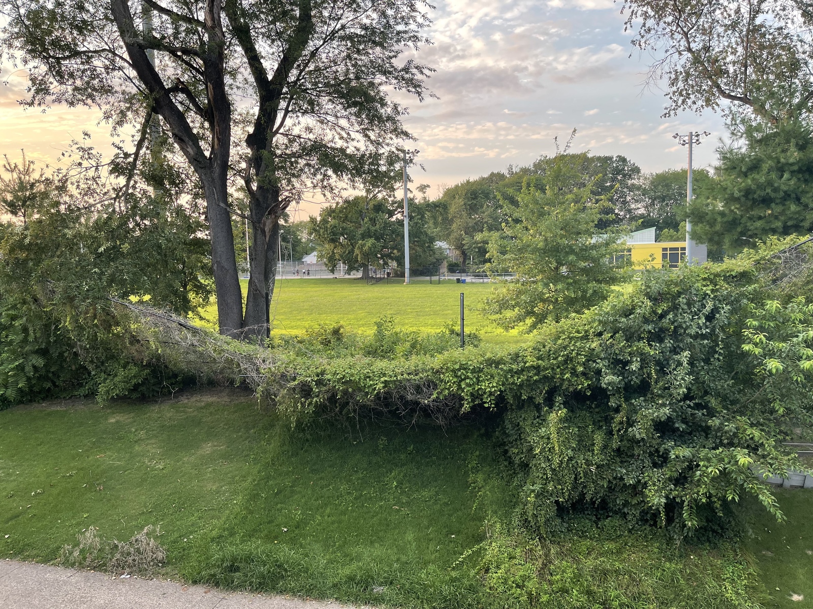 Photographic documentation of the work as submitted to the city's 311 record.