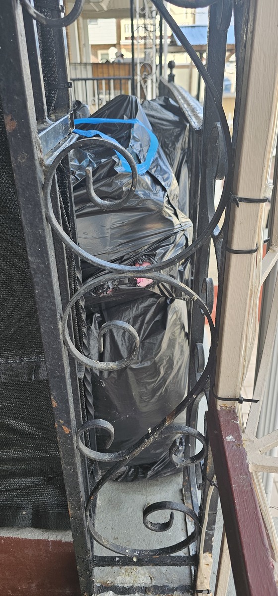 Photographic documentation of the work as submitted to the city's 311 record.