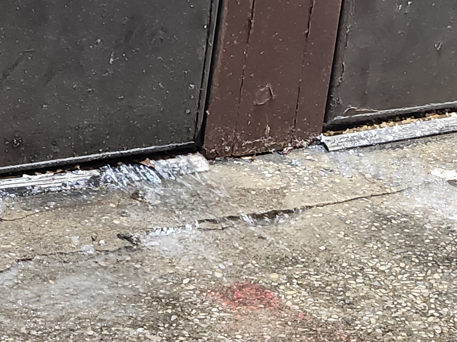 Photographic documentation of the work as submitted to the city's 311 record.