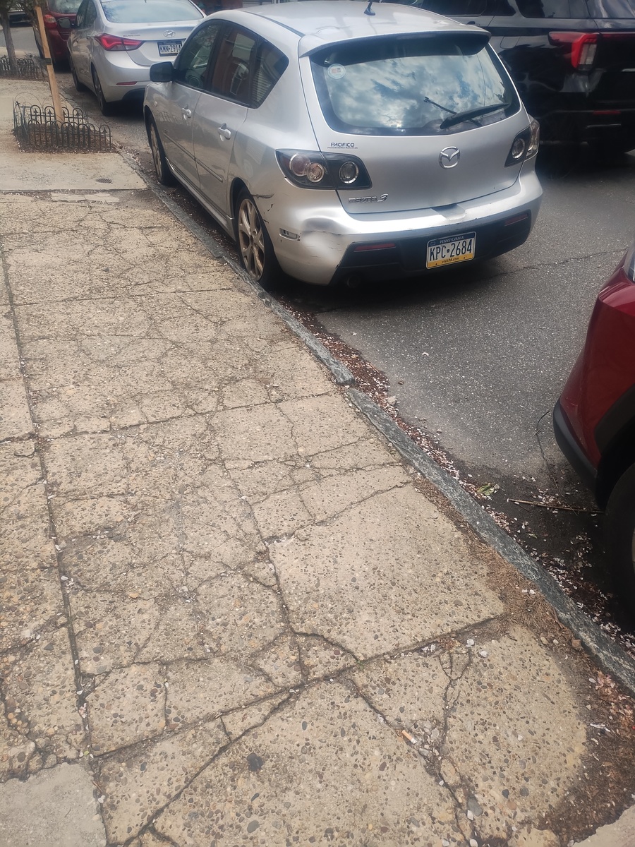 Photographic documentation of the work as submitted to the city's 311 record.