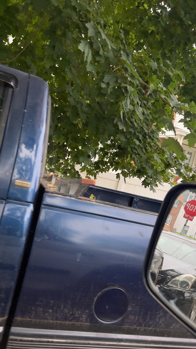 Photographic documentation of the work as submitted to the city's 311 record.