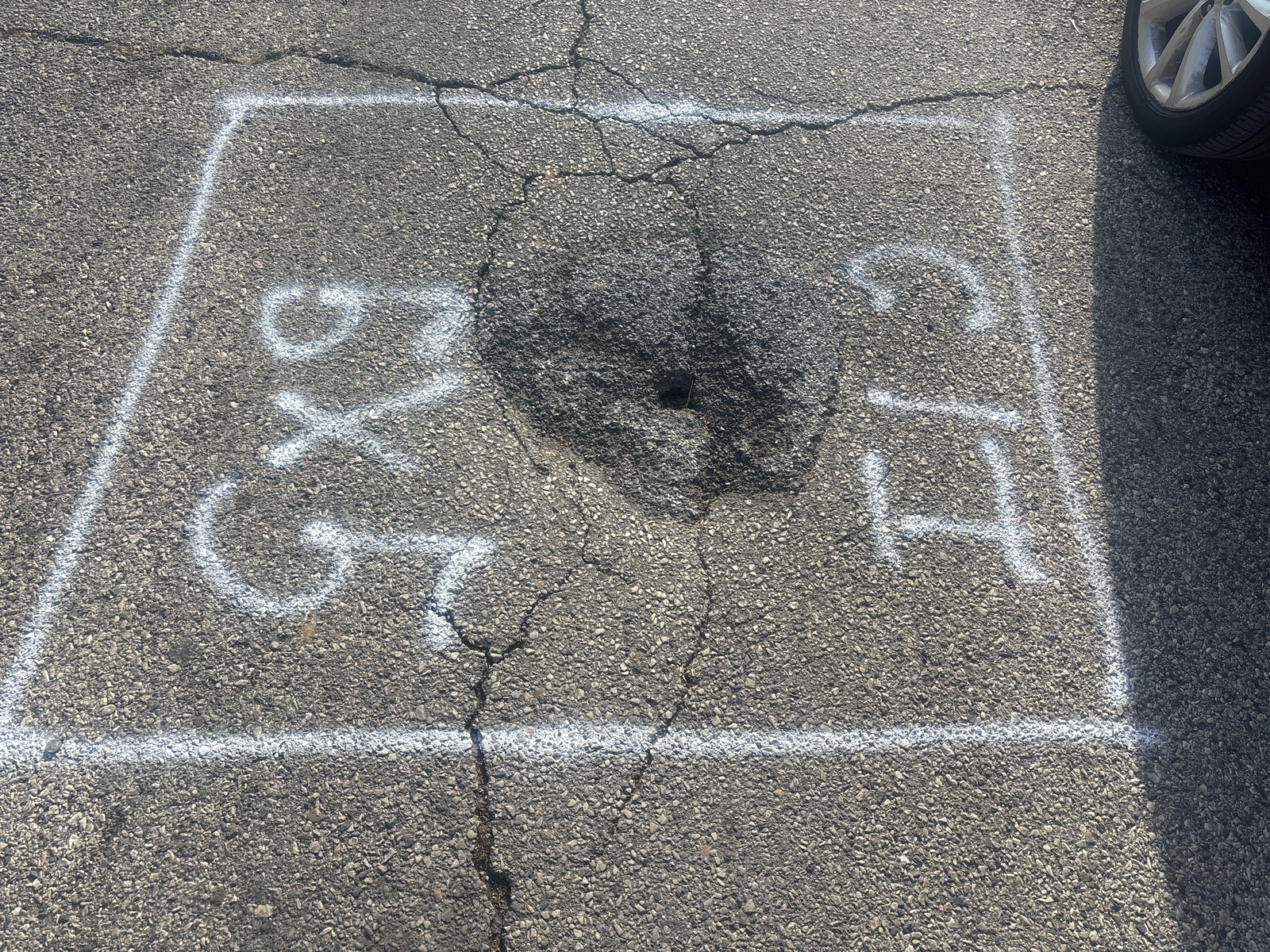 Photographic documentation of the work as submitted to the city's 311 record.