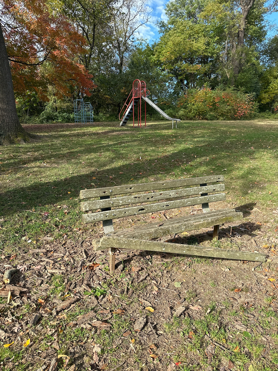 Photographic documentation of the work as submitted to the city's 311 record.