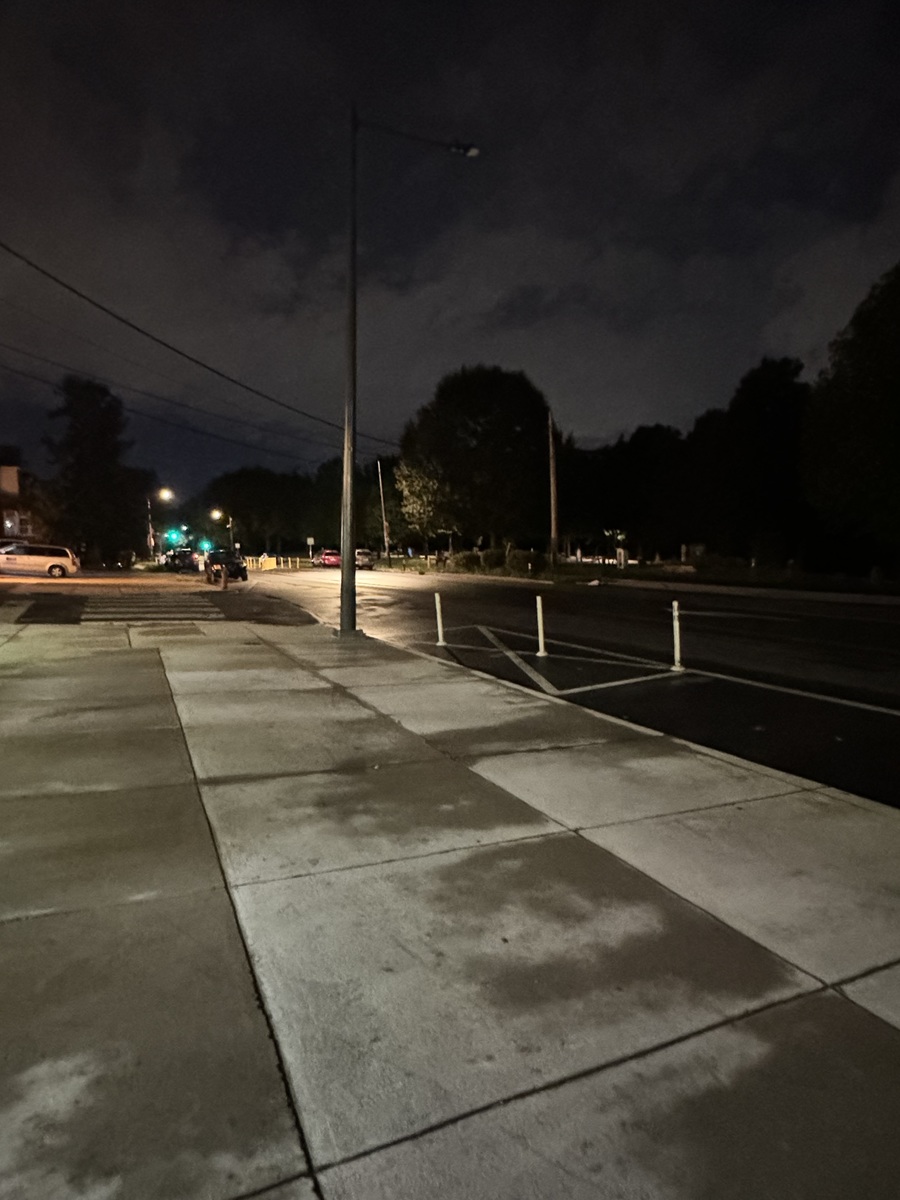 Photographic documentation of the work as submitted to the city's 311 record.