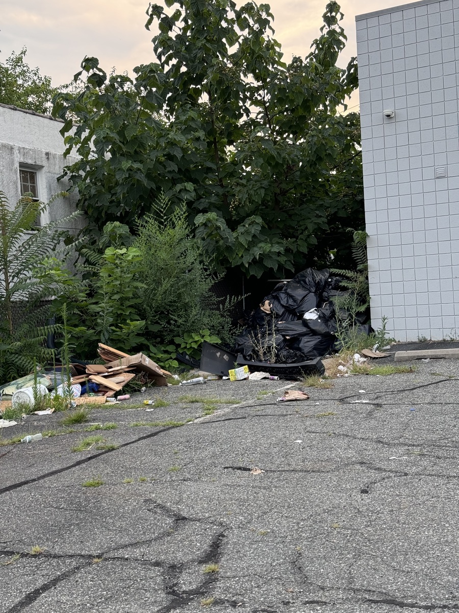 Photographic documentation of the work as submitted to the city's 311 record.