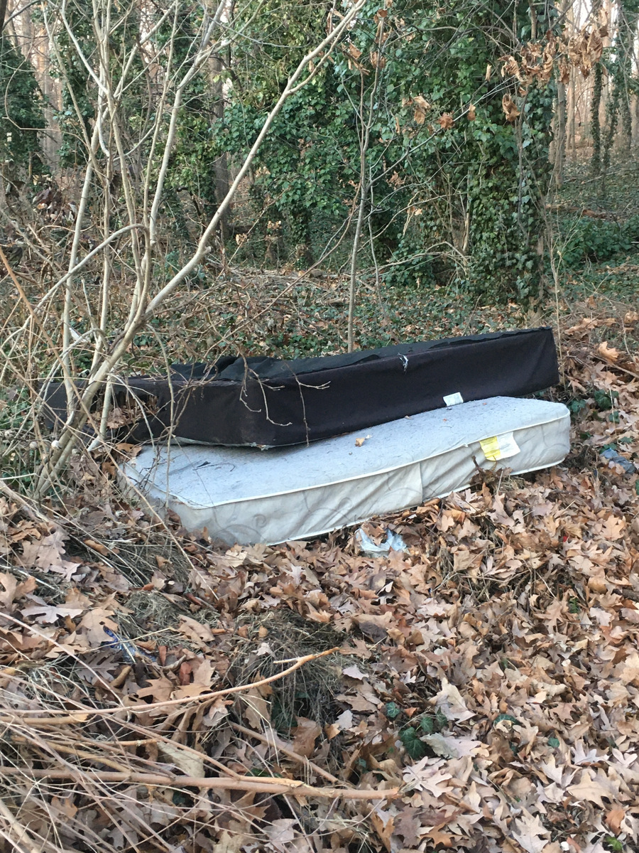 Photographic documentation of the work as submitted to the city's 311 record.