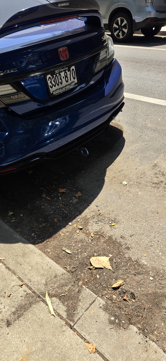 Photographic documentation of the work as submitted to the city's 311 record.