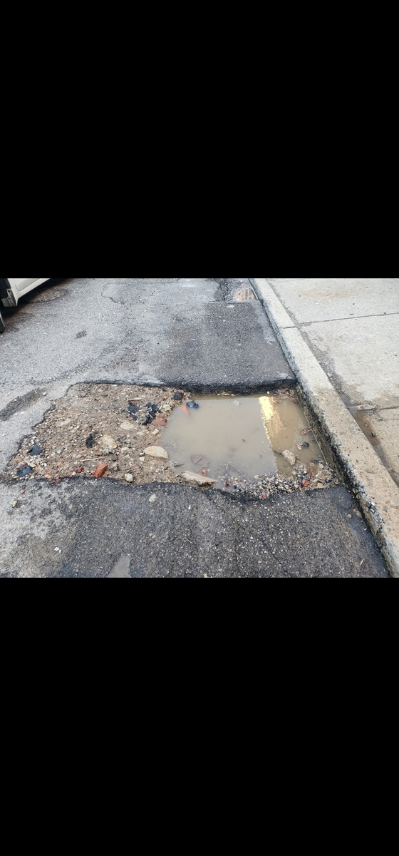 Photographic documentation of the work as submitted to the city's 311 record.