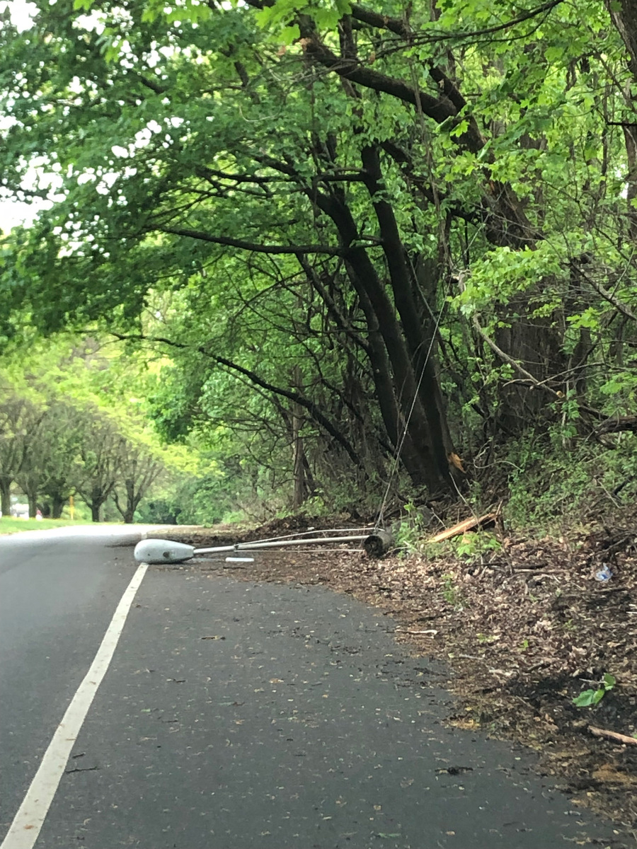 Photographic documentation of the work as submitted to the city's 311 record.