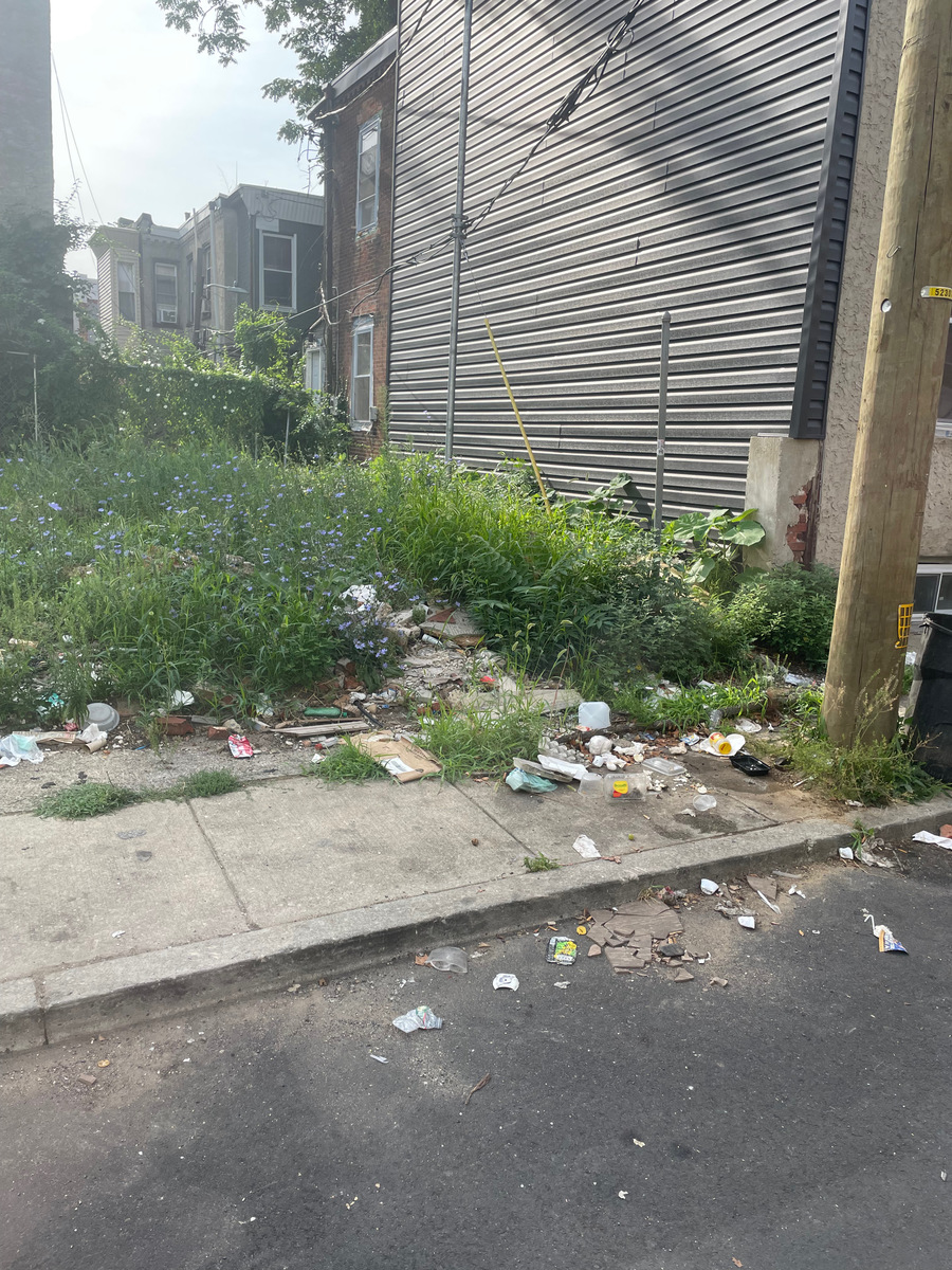 Photographic documentation of the work as submitted to the city's 311 record.