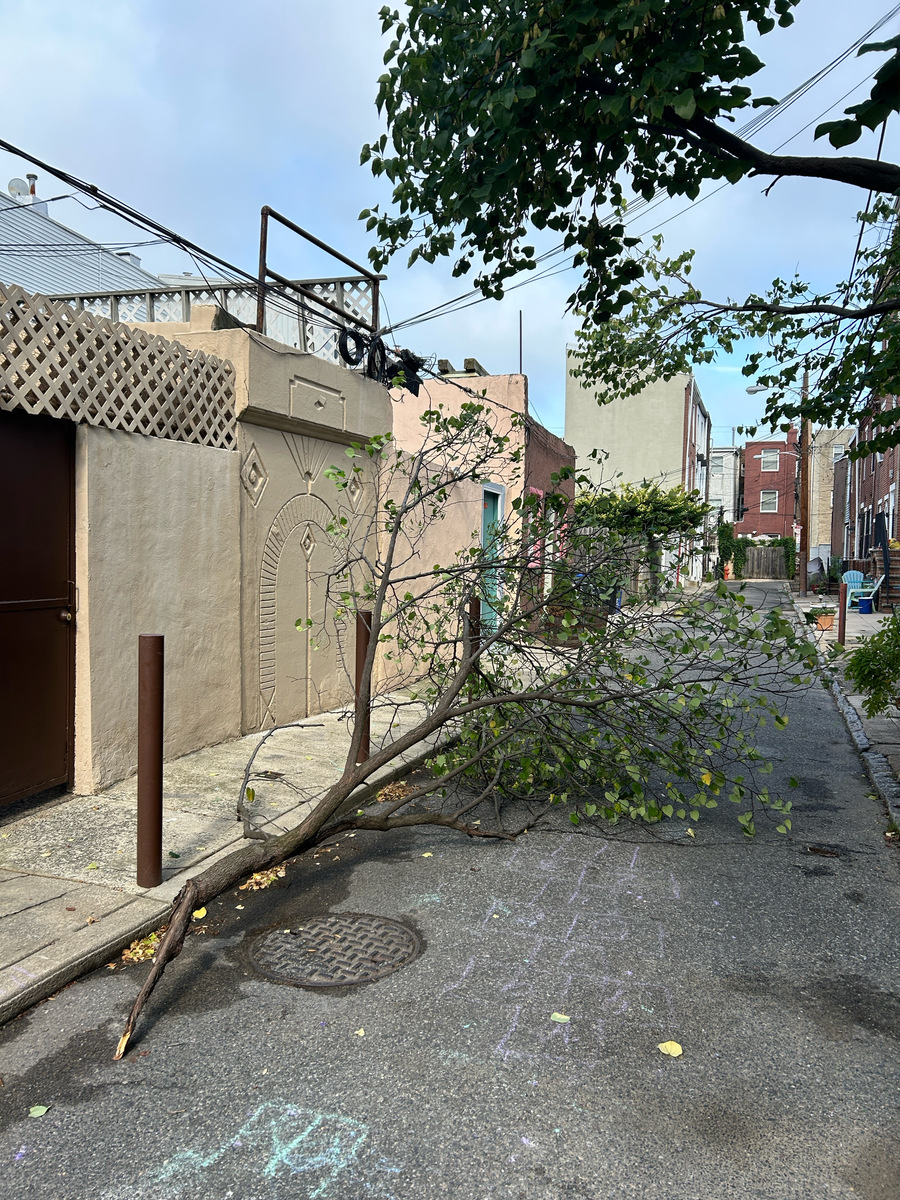 Photographic documentation of the work as submitted to the city's 311 record.