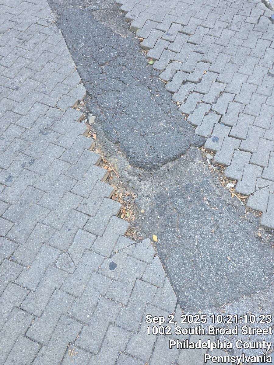 Photographic documentation of the work as submitted to the city's 311 record.