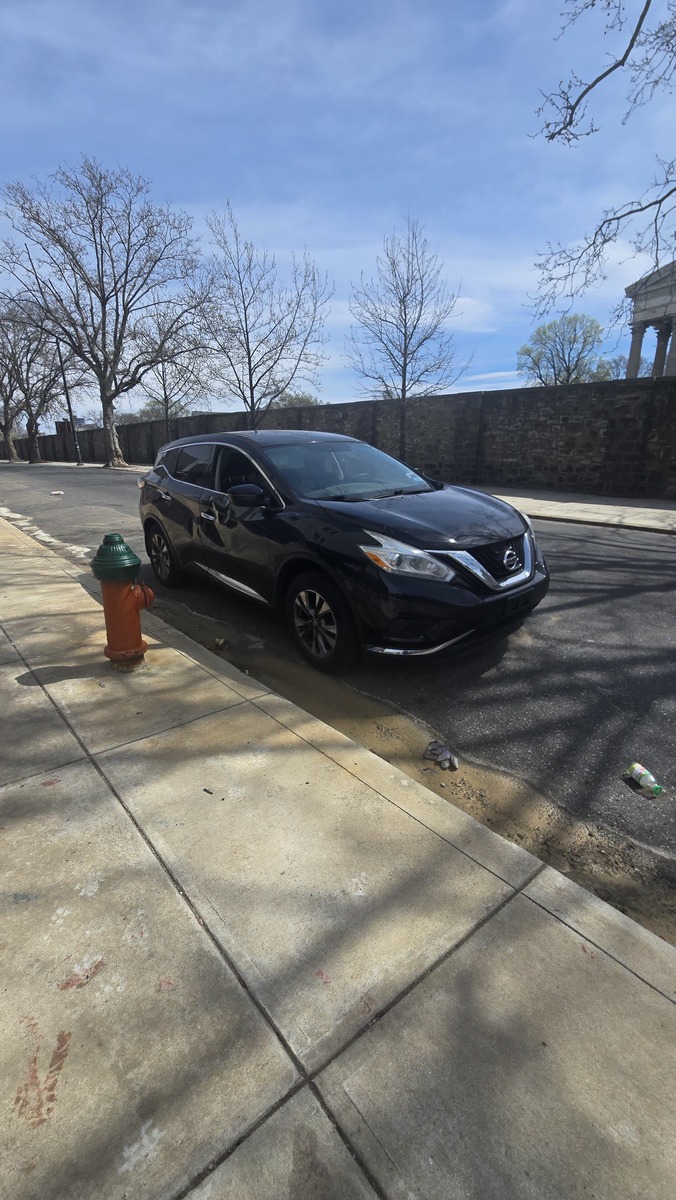 Photographic documentation of the work as submitted to the city's 311 record.