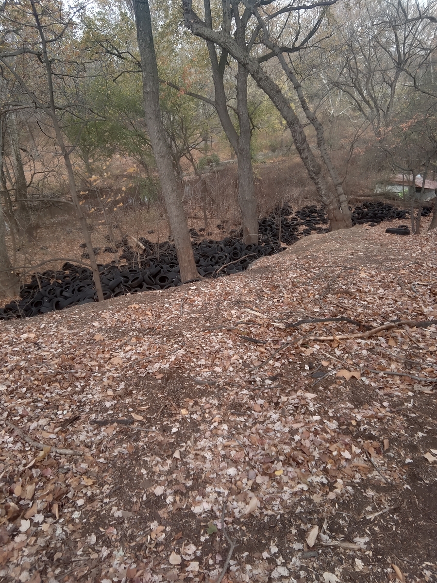 Photographic documentation of the work as submitted to the city's 311 record.