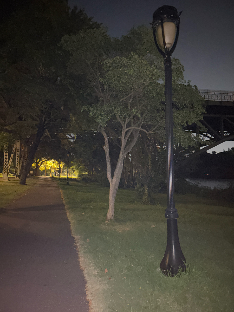 Photographic documentation of the work as submitted to the city's 311 record.